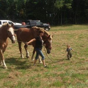 Meet your Posher, Donna